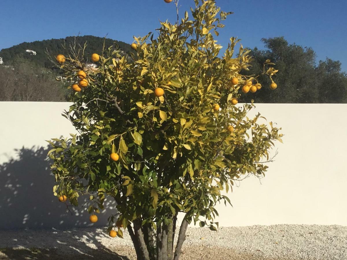 Casita In With Garden And Pool - Dog Friendly! Javea